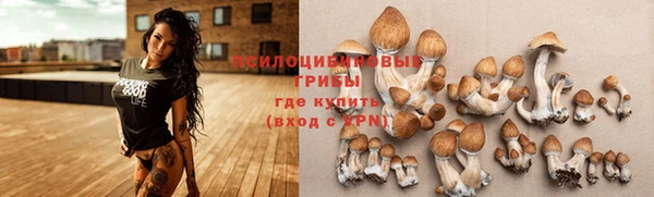 герыч Белокуриха