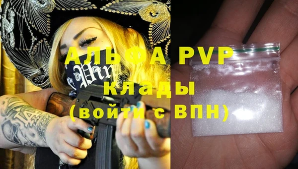spice Беломорск