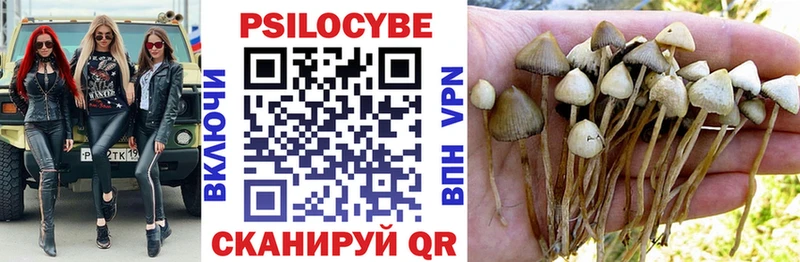 Псилоцибиновые грибы Psilocybine cubensis  Волхов 